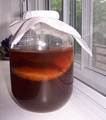 Kombucha.jpg